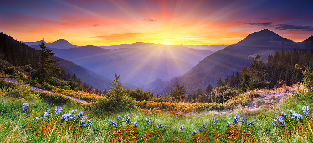 a beautiful valley with purple mountains and wildflowers and a sunrise
