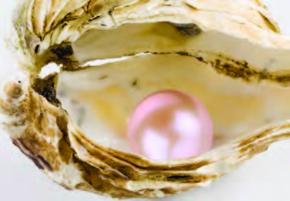 pearl in an oyster shell