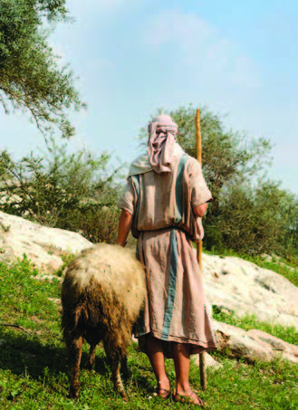 shepherd and sheep